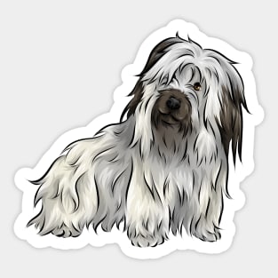 Cute Skye Terrier Dog | Grey with Black Points Sticker